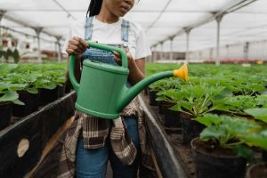 a girl watering the plants